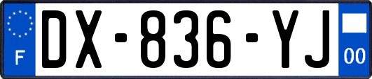DX-836-YJ