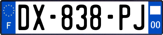 DX-838-PJ