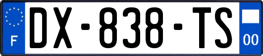 DX-838-TS