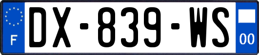 DX-839-WS
