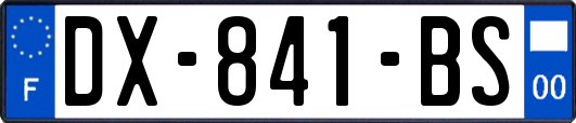 DX-841-BS