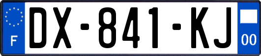 DX-841-KJ