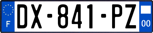 DX-841-PZ