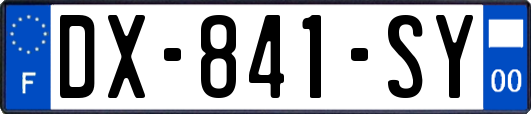 DX-841-SY