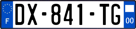 DX-841-TG