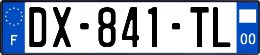 DX-841-TL
