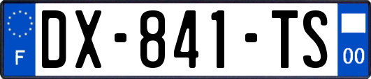 DX-841-TS
