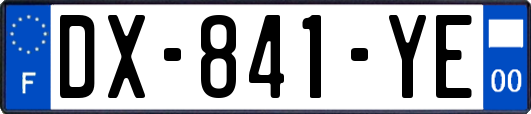 DX-841-YE