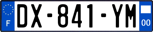 DX-841-YM