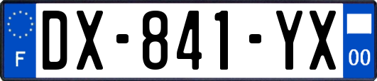 DX-841-YX