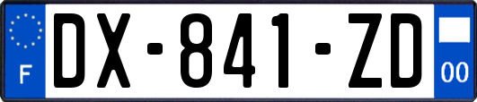 DX-841-ZD