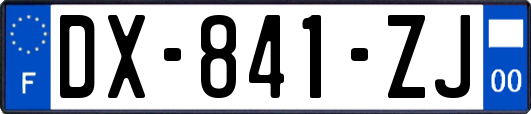 DX-841-ZJ