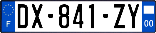 DX-841-ZY