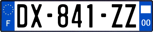 DX-841-ZZ