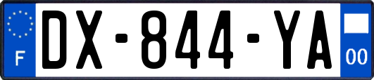 DX-844-YA