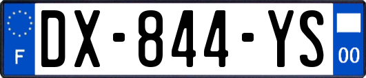 DX-844-YS