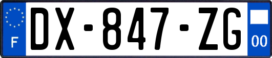 DX-847-ZG