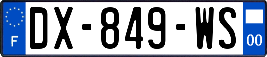 DX-849-WS
