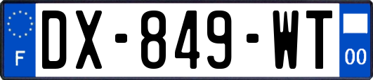 DX-849-WT