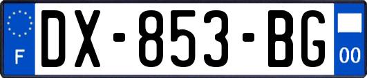 DX-853-BG