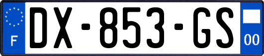 DX-853-GS