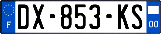 DX-853-KS