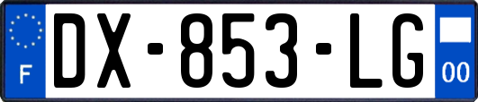 DX-853-LG
