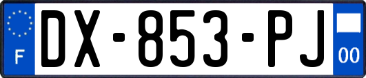 DX-853-PJ