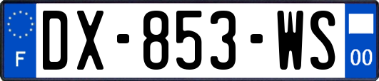 DX-853-WS