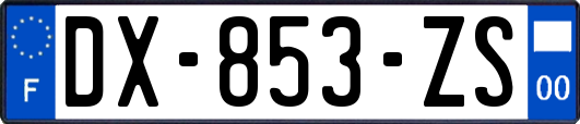 DX-853-ZS