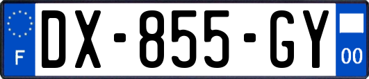 DX-855-GY