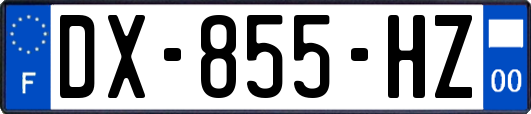 DX-855-HZ
