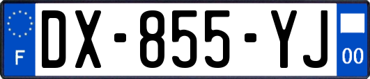 DX-855-YJ
