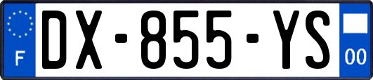 DX-855-YS