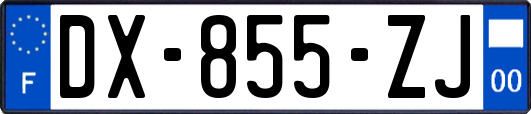 DX-855-ZJ