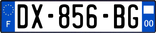 DX-856-BG