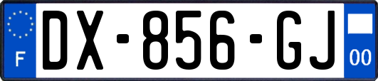 DX-856-GJ
