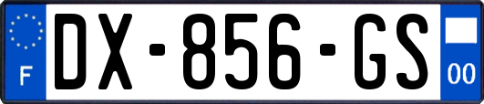 DX-856-GS