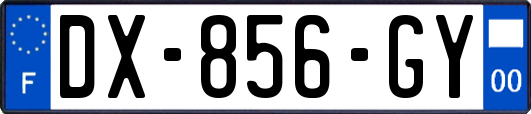 DX-856-GY