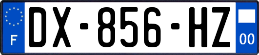 DX-856-HZ