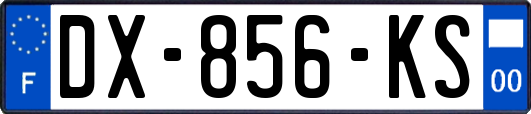 DX-856-KS