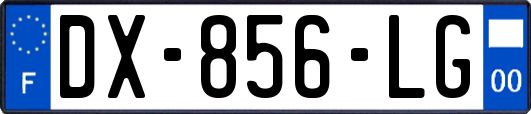 DX-856-LG