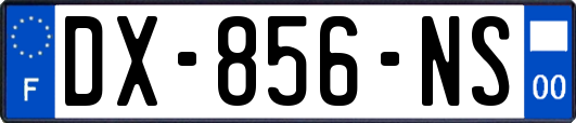 DX-856-NS