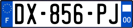 DX-856-PJ