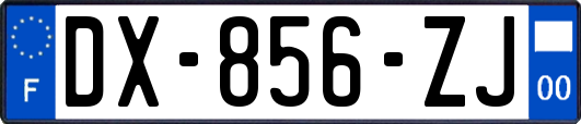 DX-856-ZJ