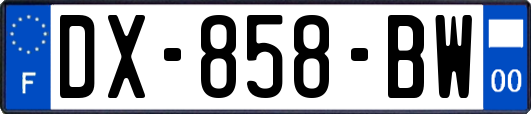 DX-858-BW