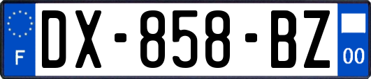 DX-858-BZ