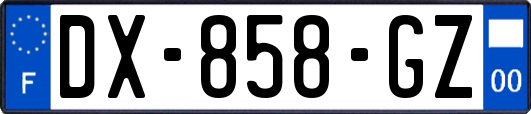 DX-858-GZ