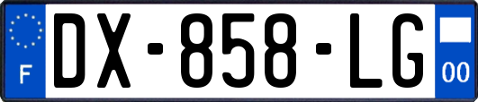 DX-858-LG