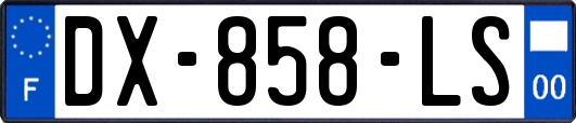 DX-858-LS